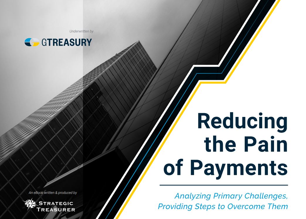 Pain of Payments eBook Cover.JPG